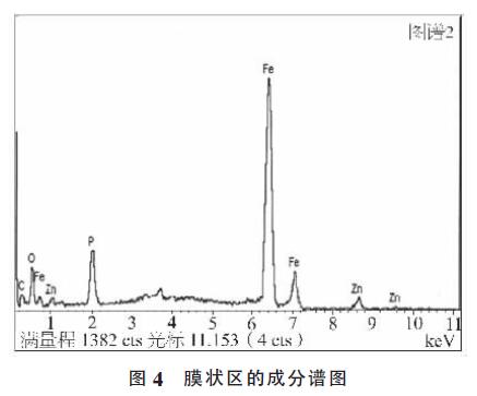 膜狀區(qū)的成分譜圖