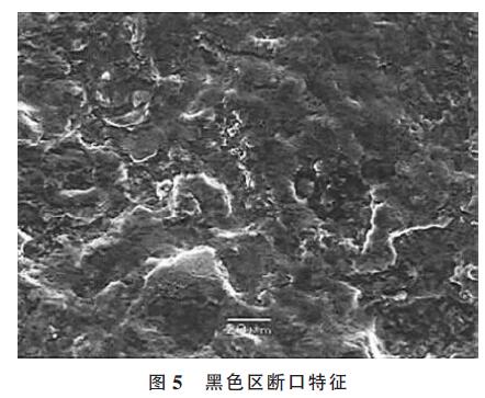 黑色區(qū)斷口特征