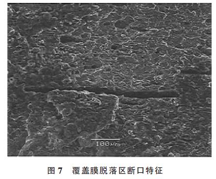 覆蓋膜脫落區(qū)斷口特征