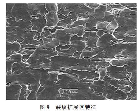 裂紋擴(kuò)展區(qū)特征